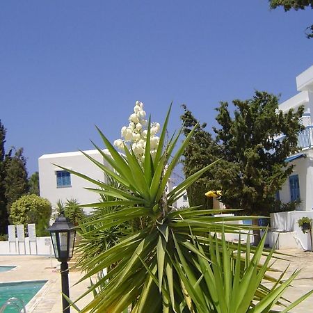 Ikaria Village Maisonette 12 بافوس المظهر الخارجي الصورة