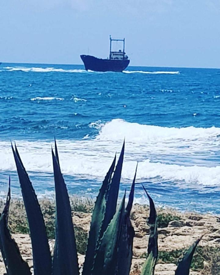 Ikaria Village Maisonette 12 بافوس المظهر الخارجي الصورة