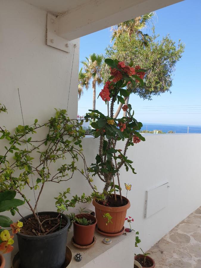 Ikaria Village Maisonette 12 بافوس المظهر الخارجي الصورة