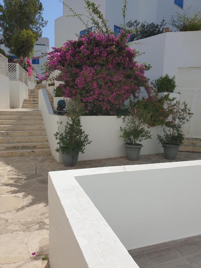Ikaria Village Maisonette 12 بافوس المظهر الخارجي الصورة